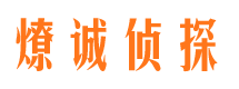 雁峰市私家侦探